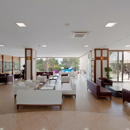 Sentido Lycus 5*