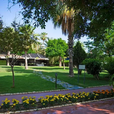 Sentido Lycus 5*