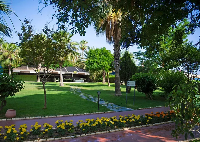 Sentido Lycus 5*