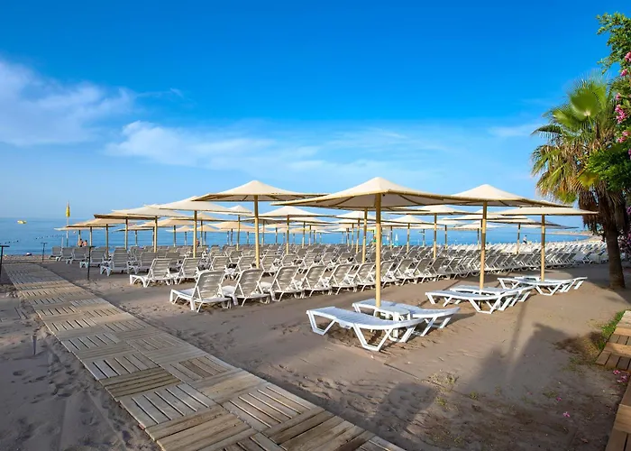 Sentido Lycus Алания